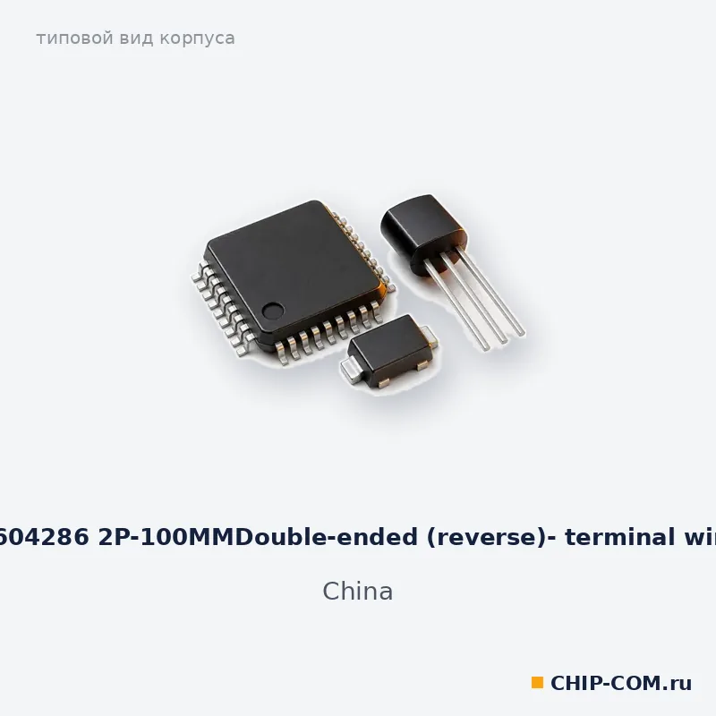 6604286 2P-100MMDouble-ended (reverse)- terminal wire