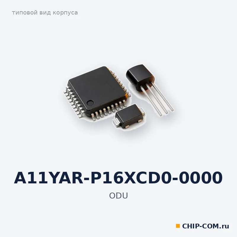 A11YAR-P16XCD0-0000