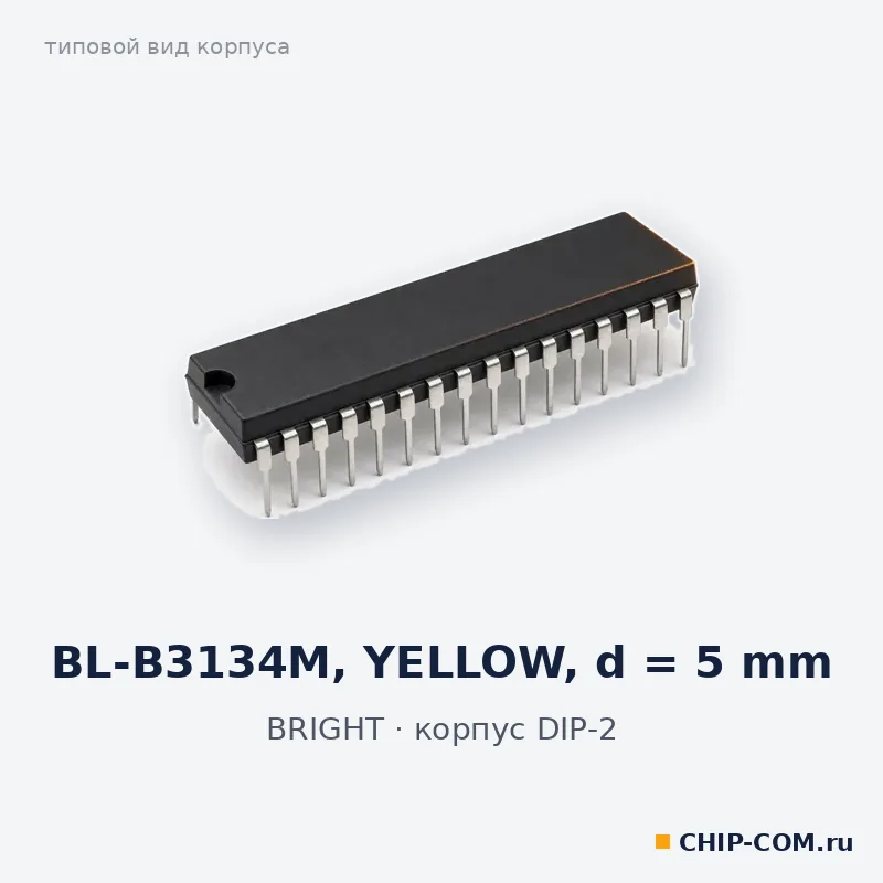 BL-B3134M, корпус DIP-2 (типовой вид)