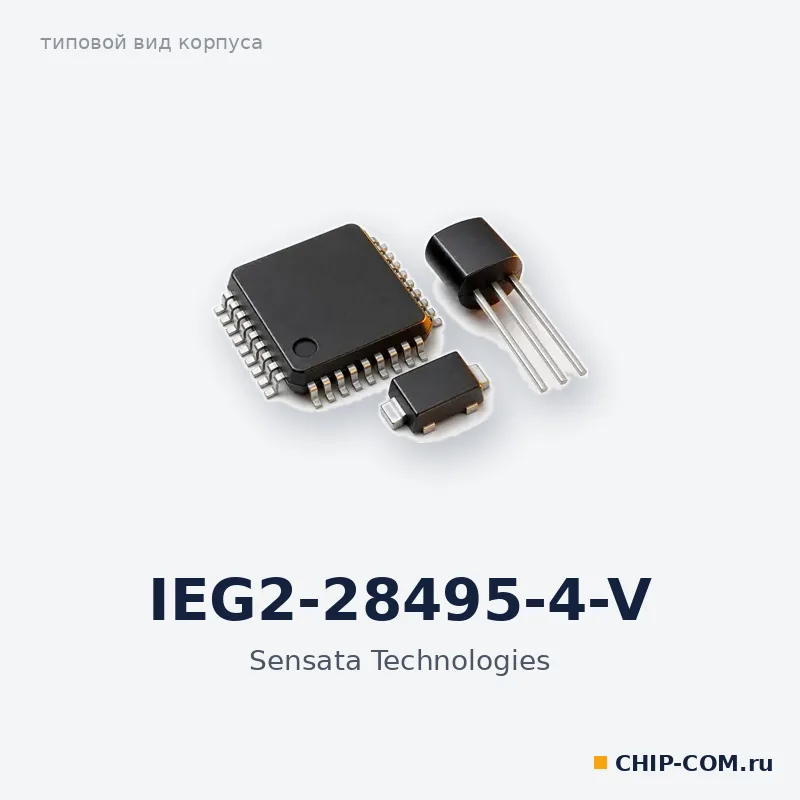 IEG2-28495-4-V