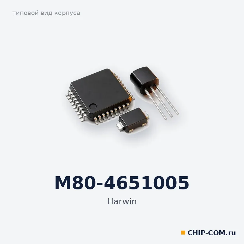 M80-4651005
