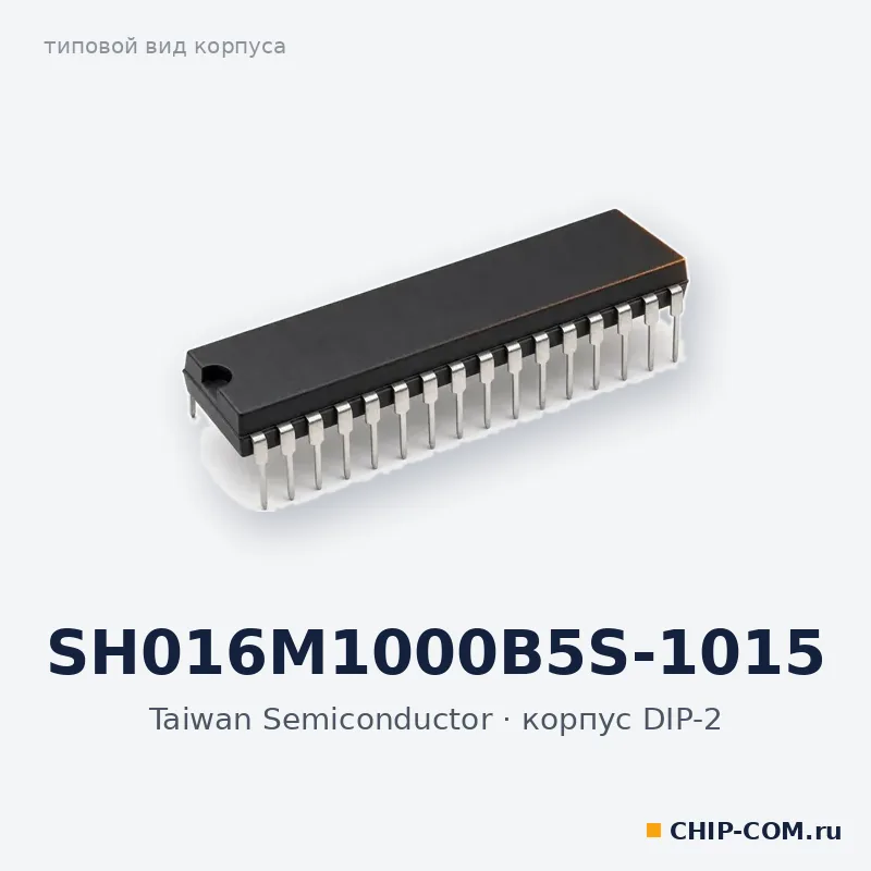 SH016M1000B5S-1015, корпус DIP-2 (типовой вид)