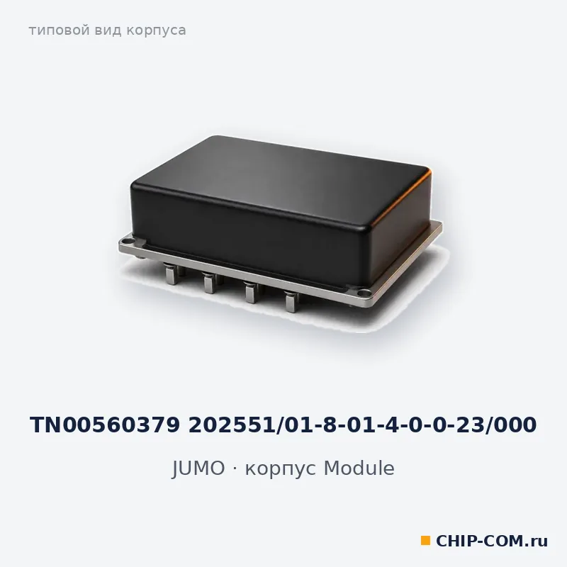 TN00560379 202551/01-8-01-4-0-0-23/000