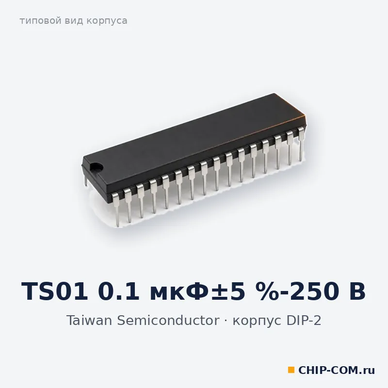 TS01 0.1 мкФ±5 %-250 В, корпус DIP-2 (типовой вид)