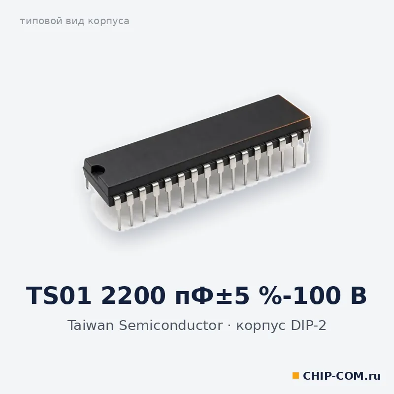 TS01 2200 пФ±5 %-100 В, корпус DIP-2 (типовой вид)